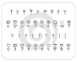 Doodle, sketch, set of flowers and twigs, hand-drawn. Vector