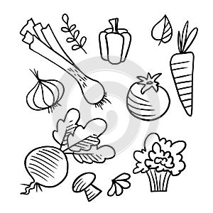 Doodle sketch vegetables, simple linear illustration of vegetables photo