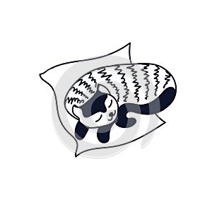 Doodle sleeping striped cat lies on pillow isolated on white