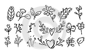 Doodle style hand drawing. Black and white plants, flowers. Isolated vector illustration.