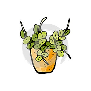 Doodle style home plant. Ornamental houseplant in a pot. Drawn by hand. Clip art. Flowerpot icon. Vector Potted plant