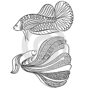 Doodle style, Siamese fighting fish
