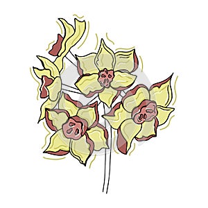 Doodle summer flower concept