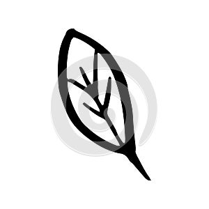 Doodle tree leaf. Fall art isolated on white