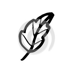 Doodle tree leaf. Fall art isolated on white
