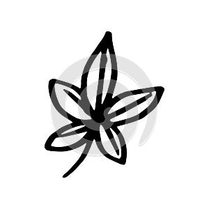 Doodle tree leaf. Fall art isolated on white