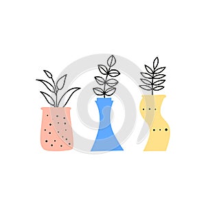 Doodle wild plants, herbs, twigs, berries in vases.