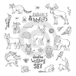 Doodles woodland set of animals and insects.