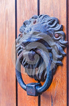 Door with brass knocker in the shape of a lion`s head, beautiful