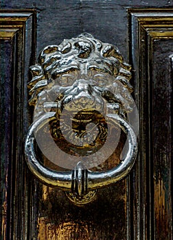 Door with brass knocker in the shape of a lion`s head, beautiful