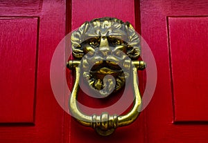 Door with brass knocker in the shape of a lion`s head, beautiful