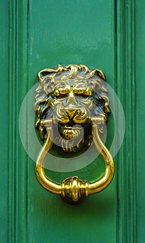 Door with brass knocker in the shape of a lion`s head, beautiful