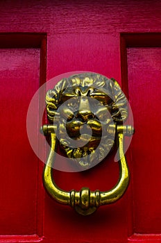 Door with brass knocker in the shape of a lion`s head, beautiful