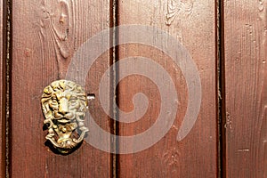 Door with brass knocker in the shape of a lion`s head, beautiful