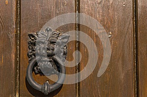 Door with brass knocker in the shape of a lion`s head, beautiful