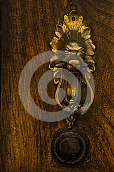 Door with brass knocker in the shape of a lion& x27;s head, beautiful