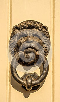 Door with brass knocker in the shape of a lion& x27;s head, beautiful