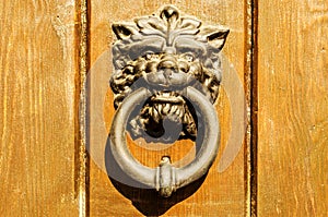 Door with brass knocker in the shape of a lion& x27;s head, beautiful