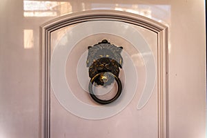 Door with brass knocker in the shape of a lion`s head, beautiful