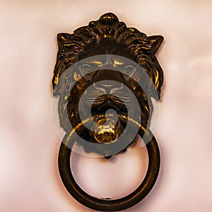 Door with brass knocker in the shape of a lion`s head, beautiful