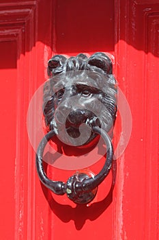 Door with bronze ornaments