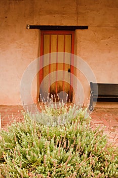 Door and bush at Mission San Miguel Arcangel photo