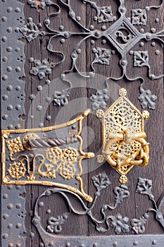 Door decorations. Gold hardware elements