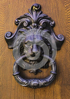 Door with doorknocker Lucca, Italy