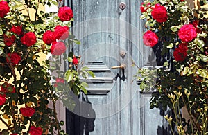 Door in a Garden