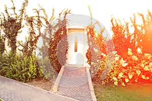 Door of garden house with flowers