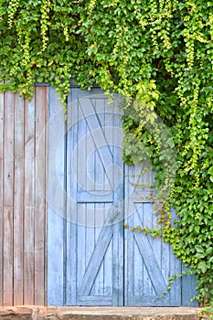 Door in garden and plant