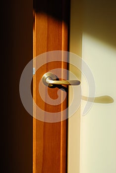 Door with handle