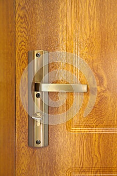 Door handle with copper door knob