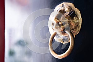 The door handle is decorated with a lion head on the black door. door knocker with lion