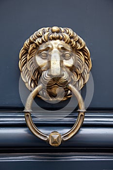 Door handle lion