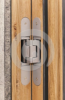 Door hinges