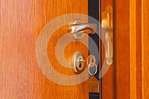 Door with inserted key in the keyhole and house icon on it