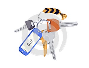 Door key, trinket and number tag hanging on ring. Room locking bunch on keyring, keyholder. Private access, house