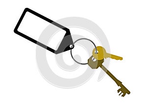 Door keys with key tag