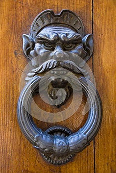 Door knocker