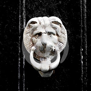 Door Knocker as Lion Head