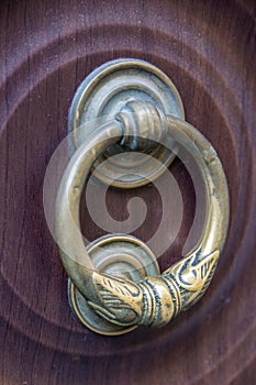 Door knocker