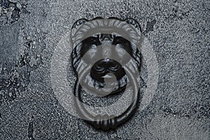 Door knocker Lion with a ring in his teeth