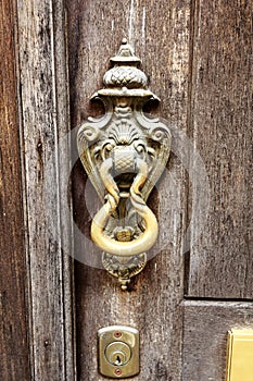 Door Knocker on Old Timber