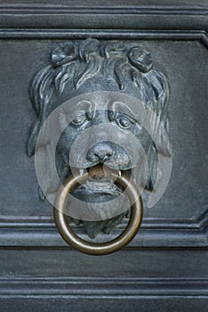 Door knocker ring