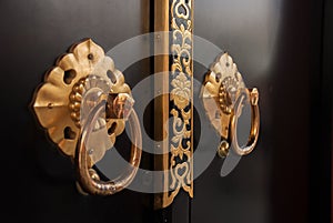 Door Knocker in Senso-ji Temple, Asakusa