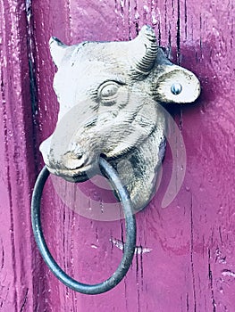 A door knocker in shape of a bull in Merida, Mexico - MERIDA - THE YUCATAN photo