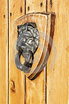 Door knocker in the shape of a lion