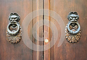 Door Knockers on a door, Siena, Tuscany, Italy