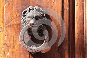Door knockers lion on an old door photo
